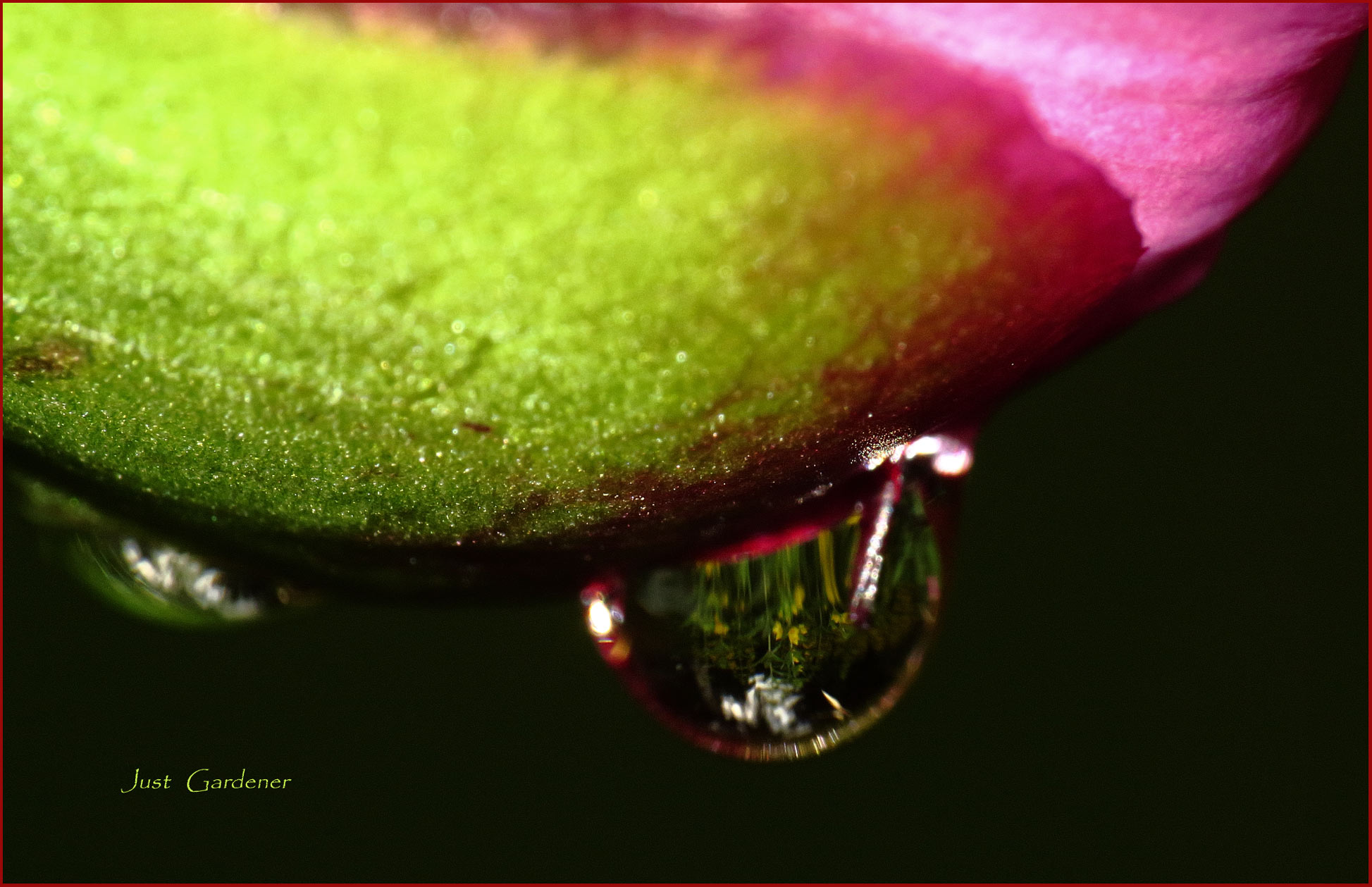 wassertropfen.jpg