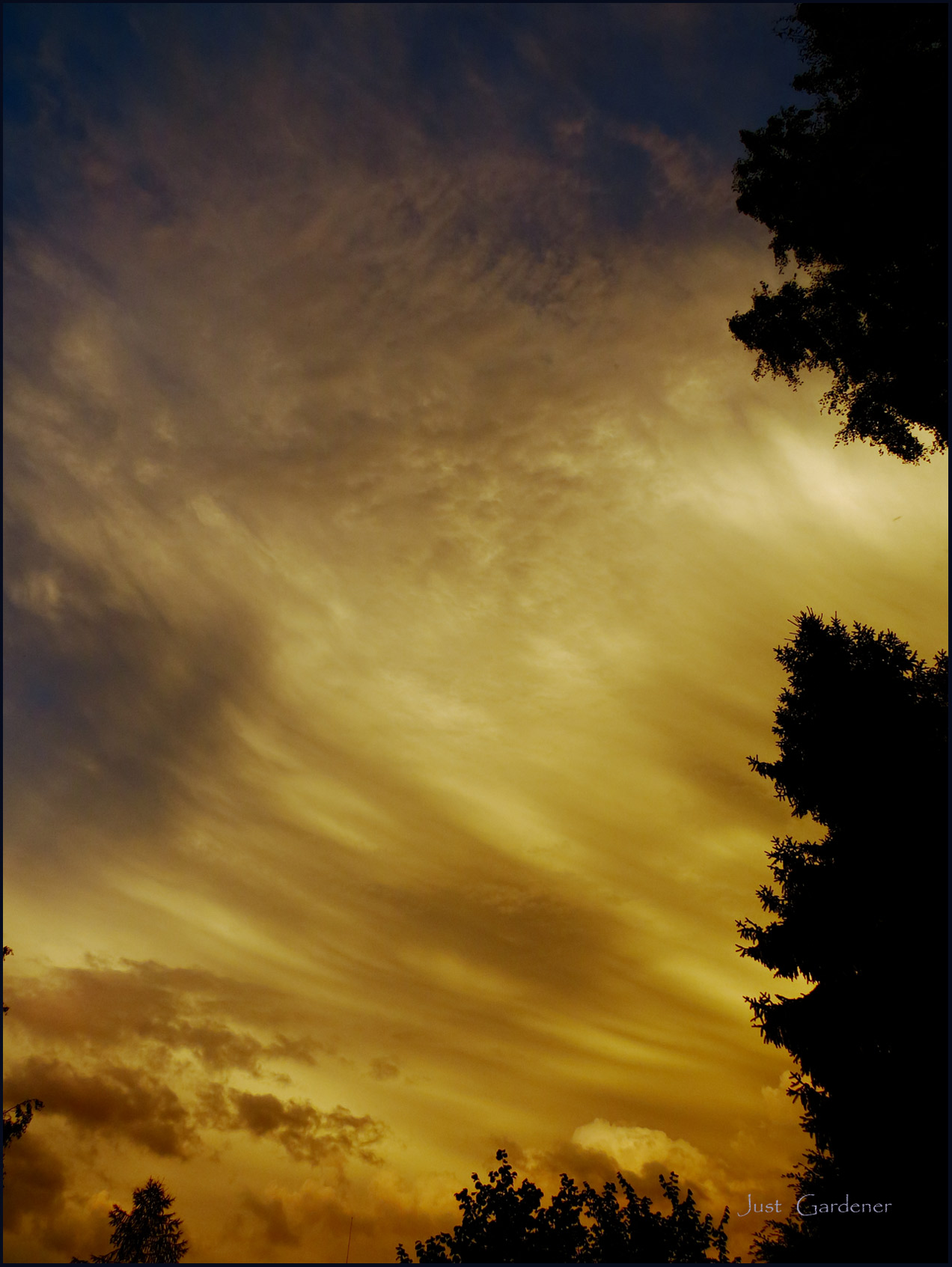 abendstimmung.jpg