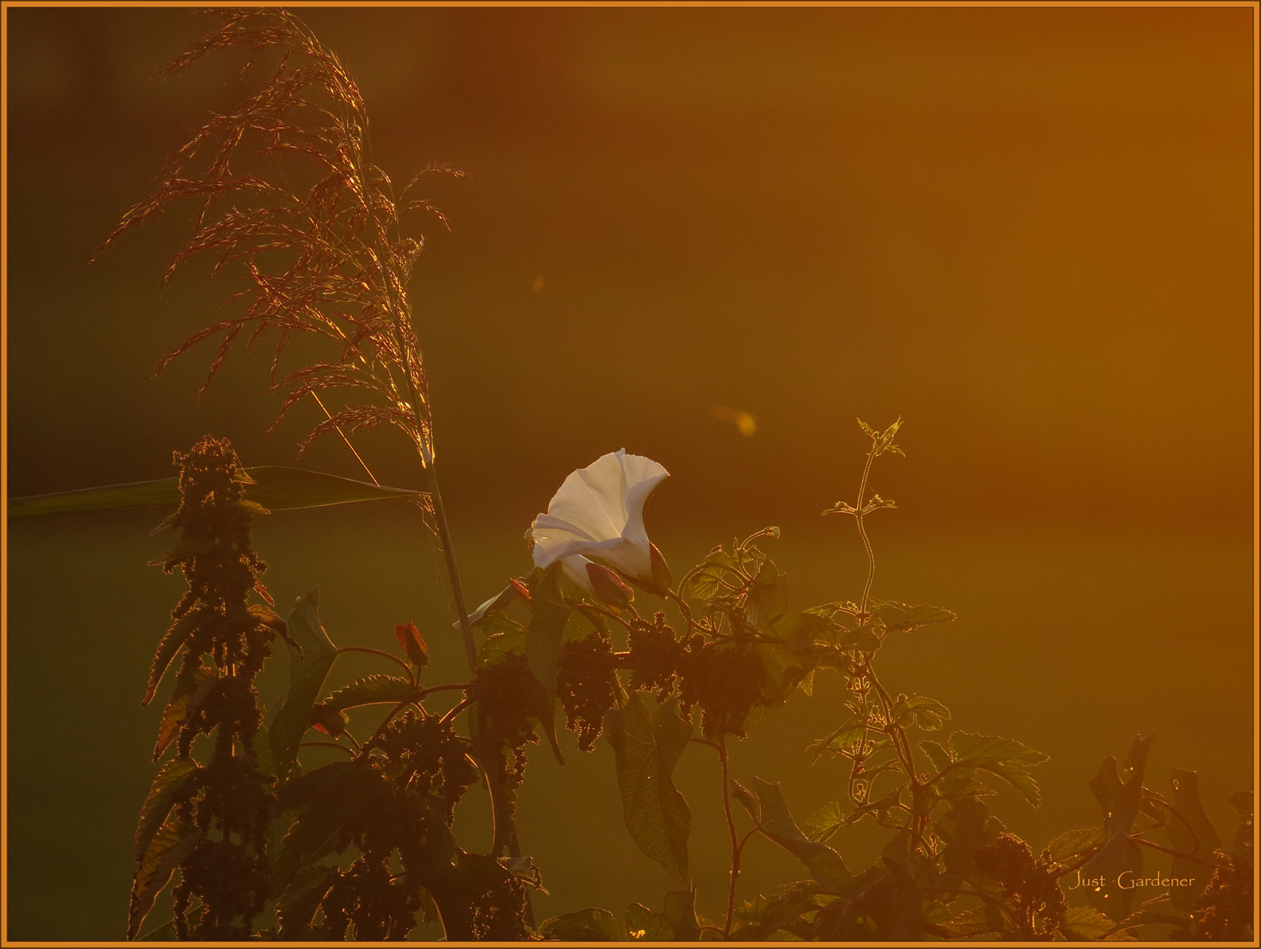 abendstimmung-09.jpg