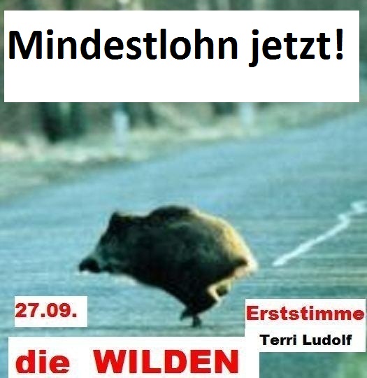 diewilden.jpg