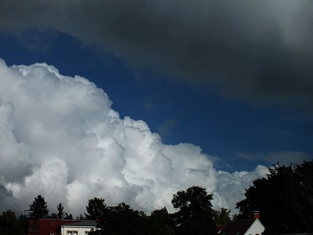 wolke.jpg