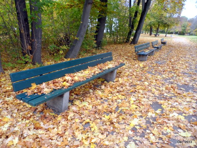 herbstlaubbankerl.jpg