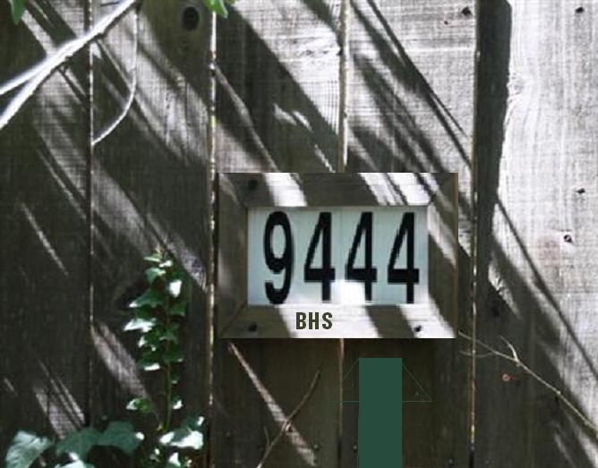 9444.jpg
