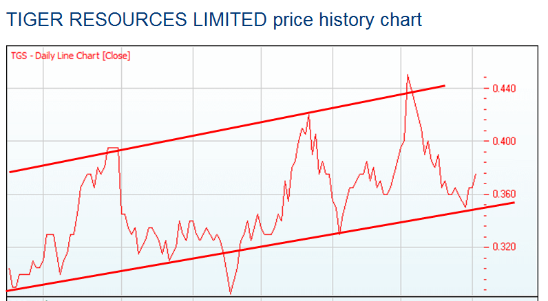 tiger_chart.png