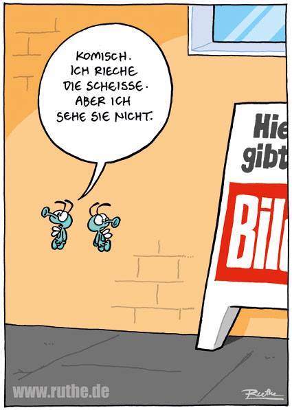 bild.jpg