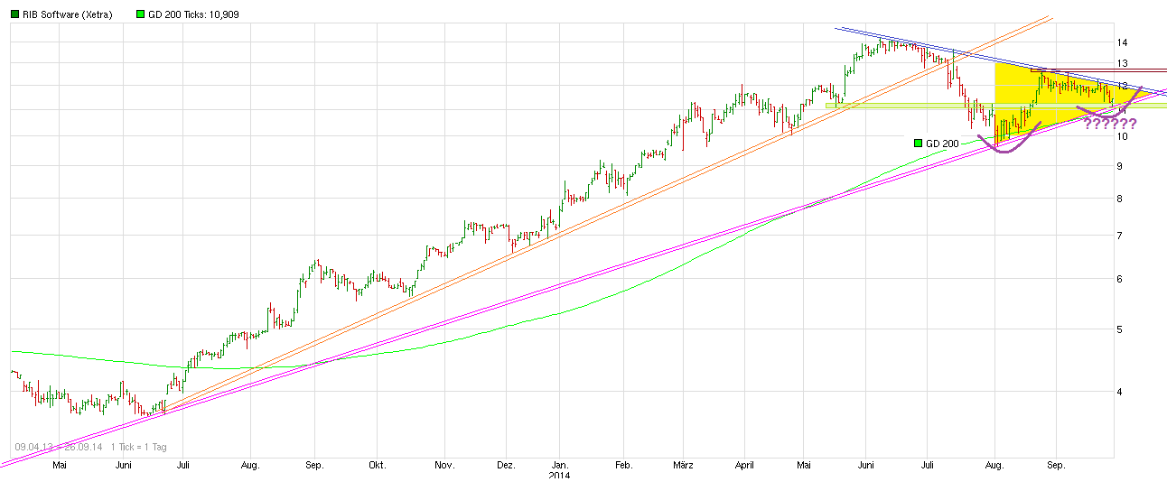 chart_free_rib__software.png