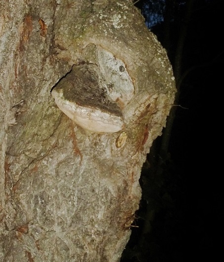 p1090927_-_kopie.jpg