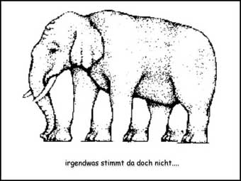 taeusch_elefant.jpg