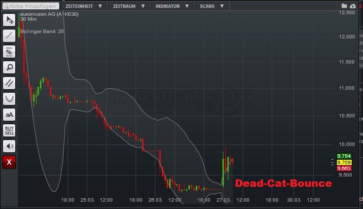 dead-cat-bounce.jpg