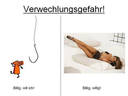 Vergleich2.jpg
