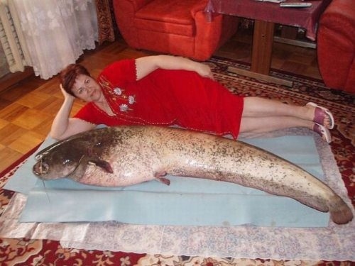 fish-magnet.jpg