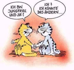 jungfrau.jpg