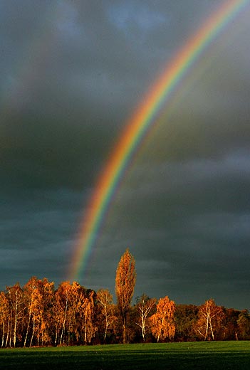 regenbogen.jpg