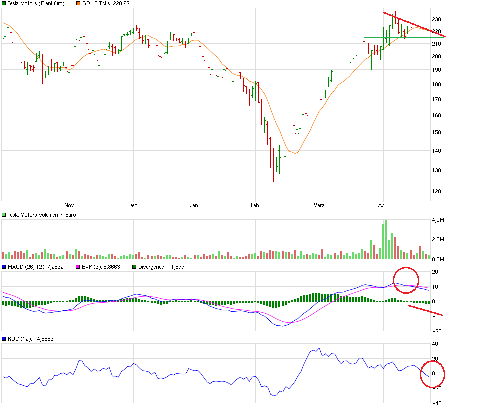 chart_halfyear_teslamotors.png