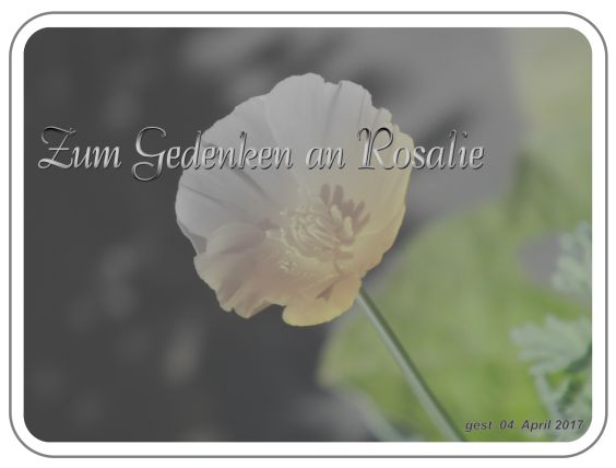 rosalie_gedenken__mb.jpg